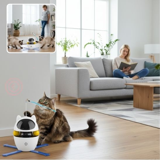 laser-pour-chat-libération-temps-unique