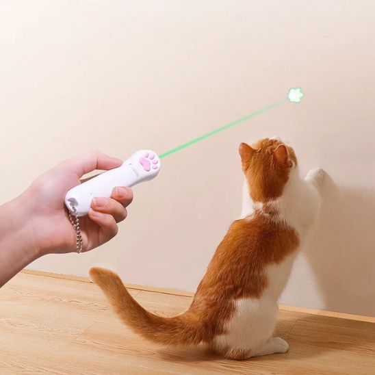 laser-pour-chat-rayon-vert