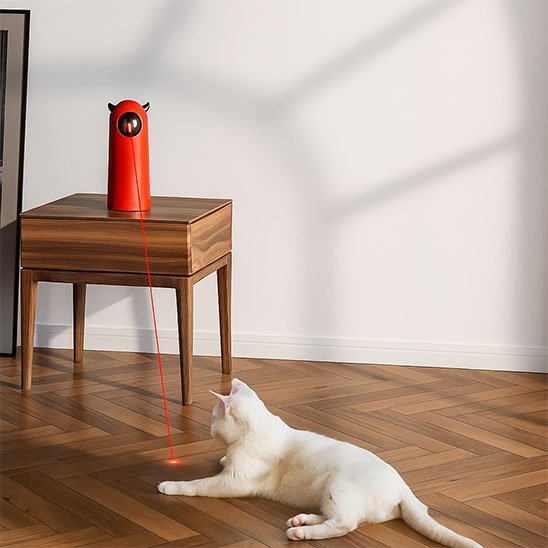 laser-pour-chat-rouge-amusant