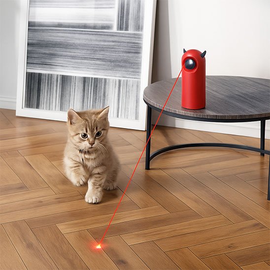 laser-pour-chat-rouge