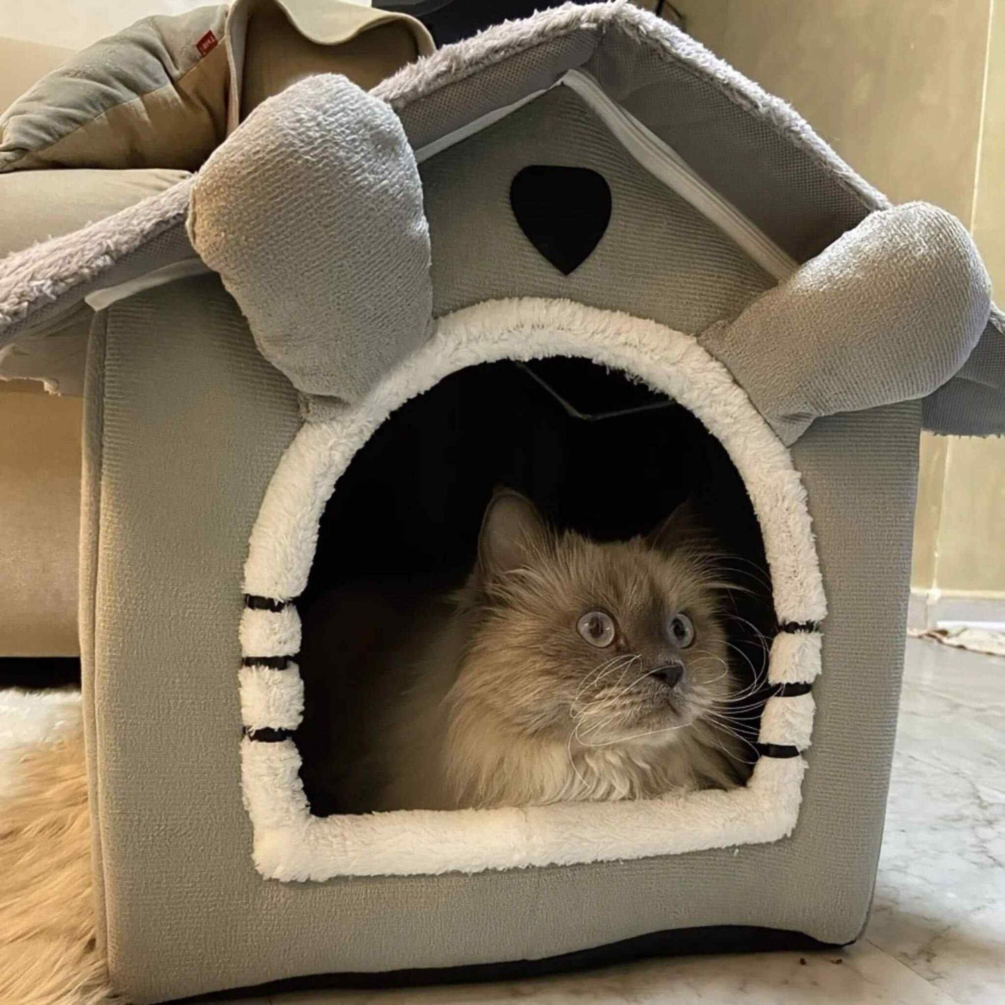 maison-chat-confort