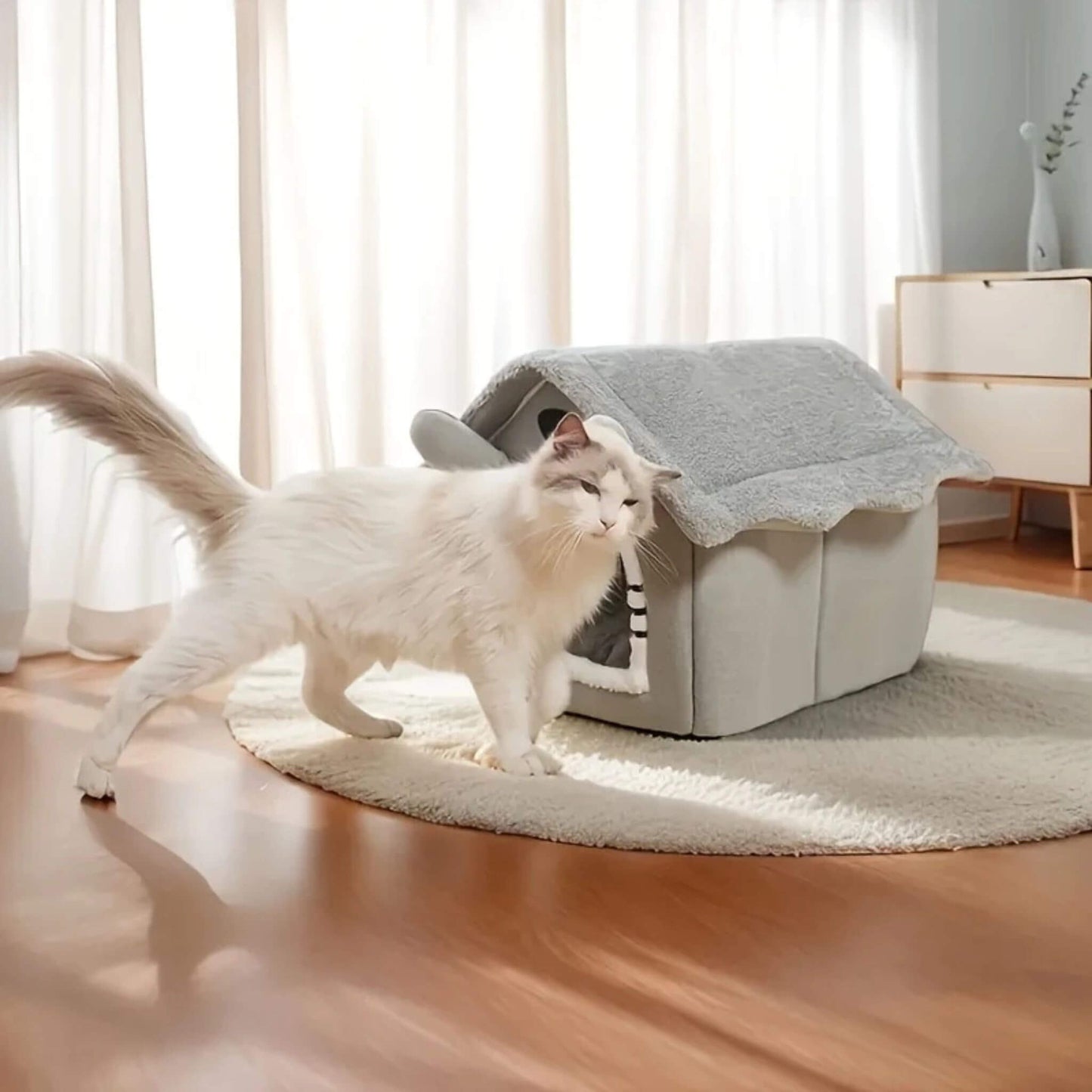 maison-chat-design