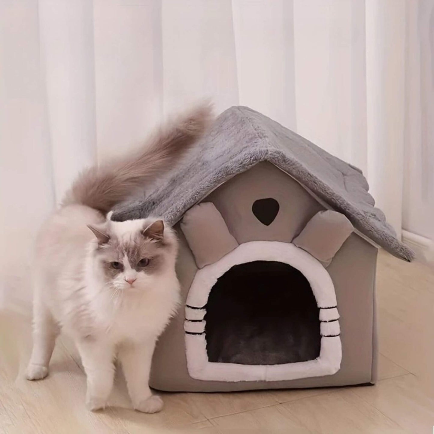 maison-chat-élégante