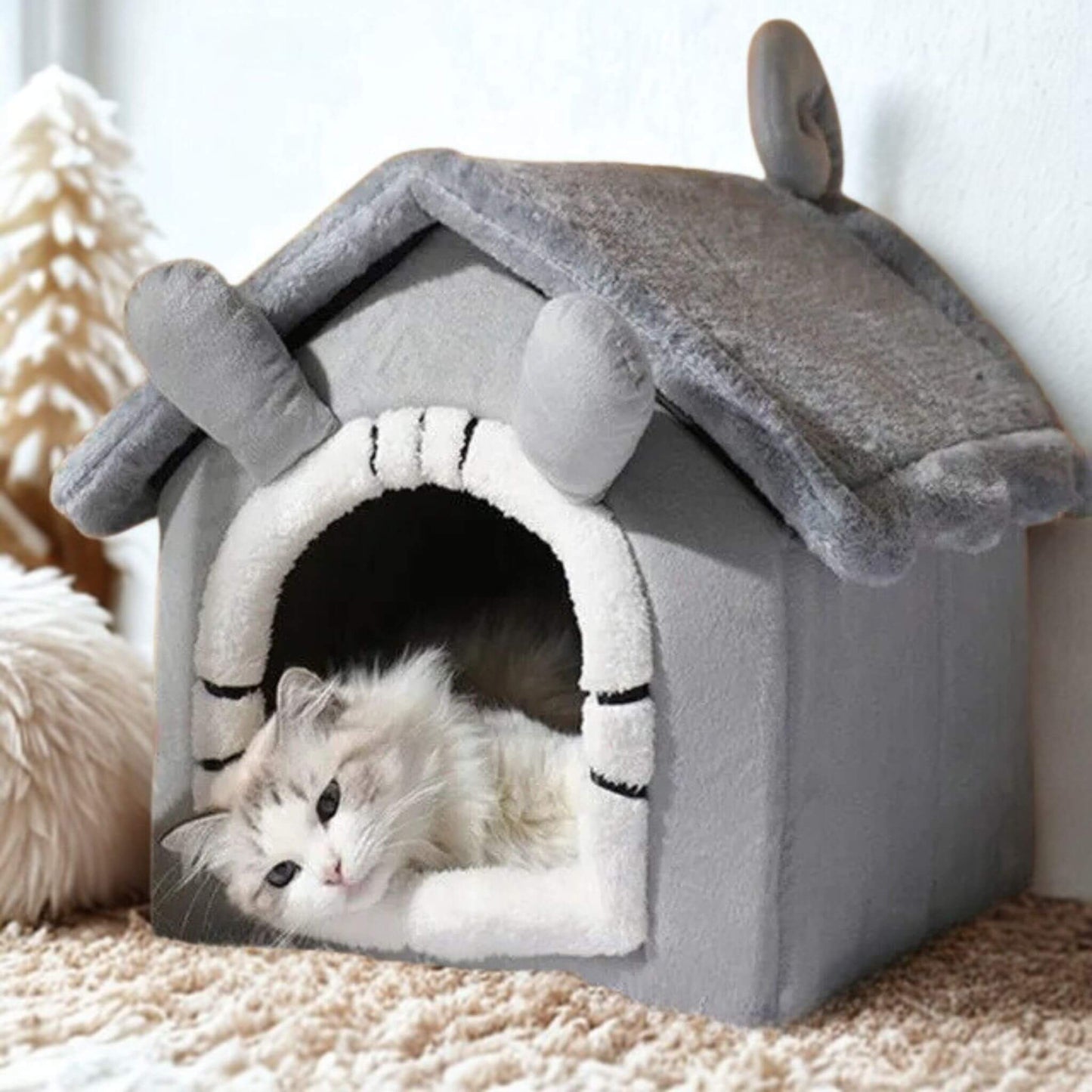 maison-chat-grise