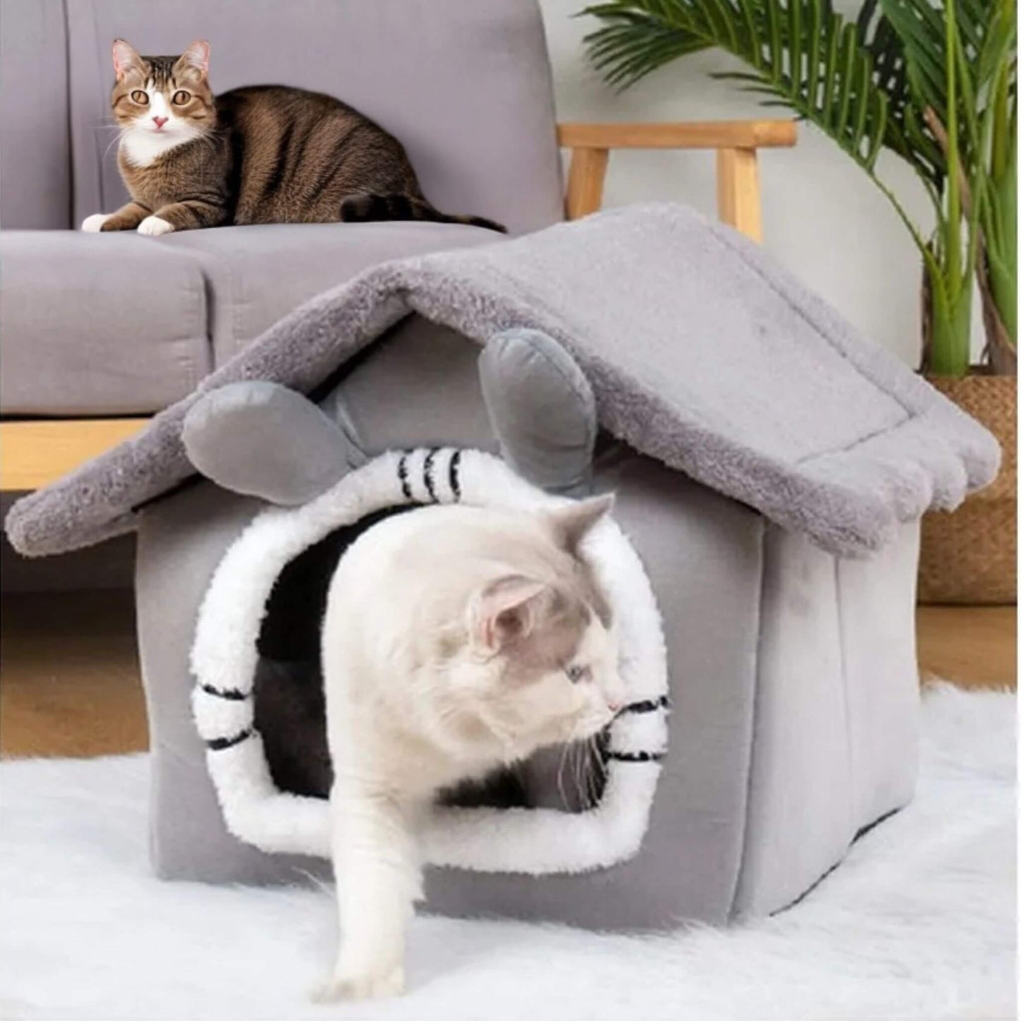 maison-chat-tanière