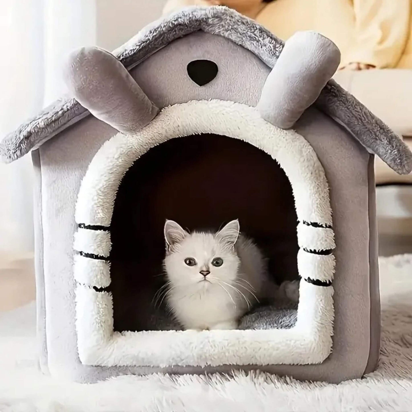 maison-chat-unique
