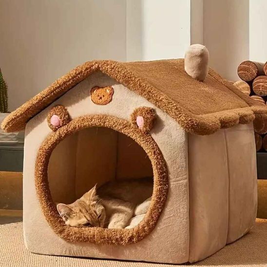 maison-pour-chat-ourson-house
