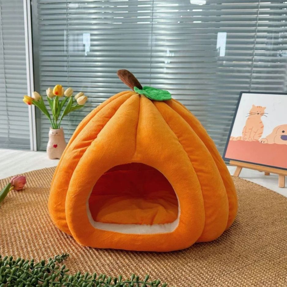 niche a chat orange citrouille