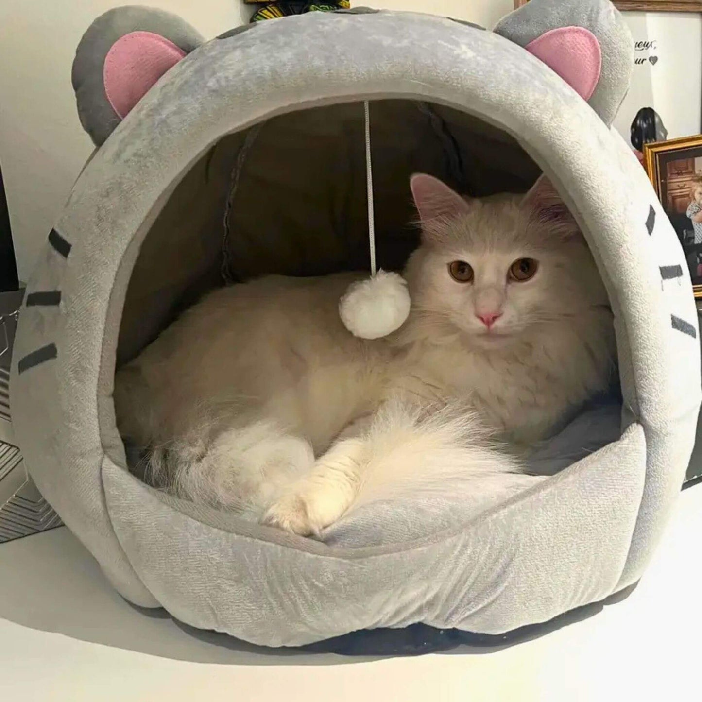 niche-a-chat-élégante-oreilles
