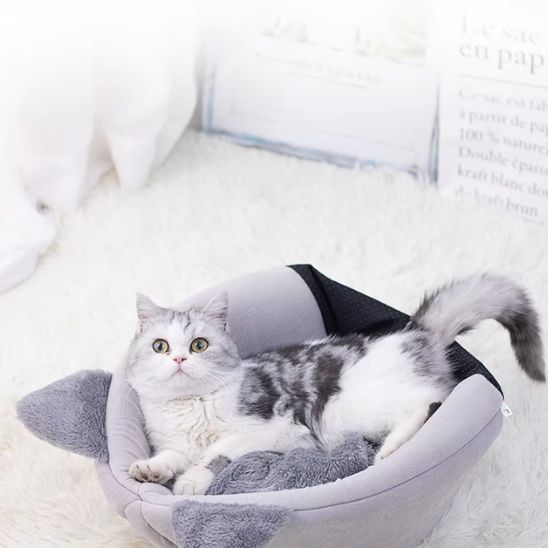 niche-chat-tissu-doux