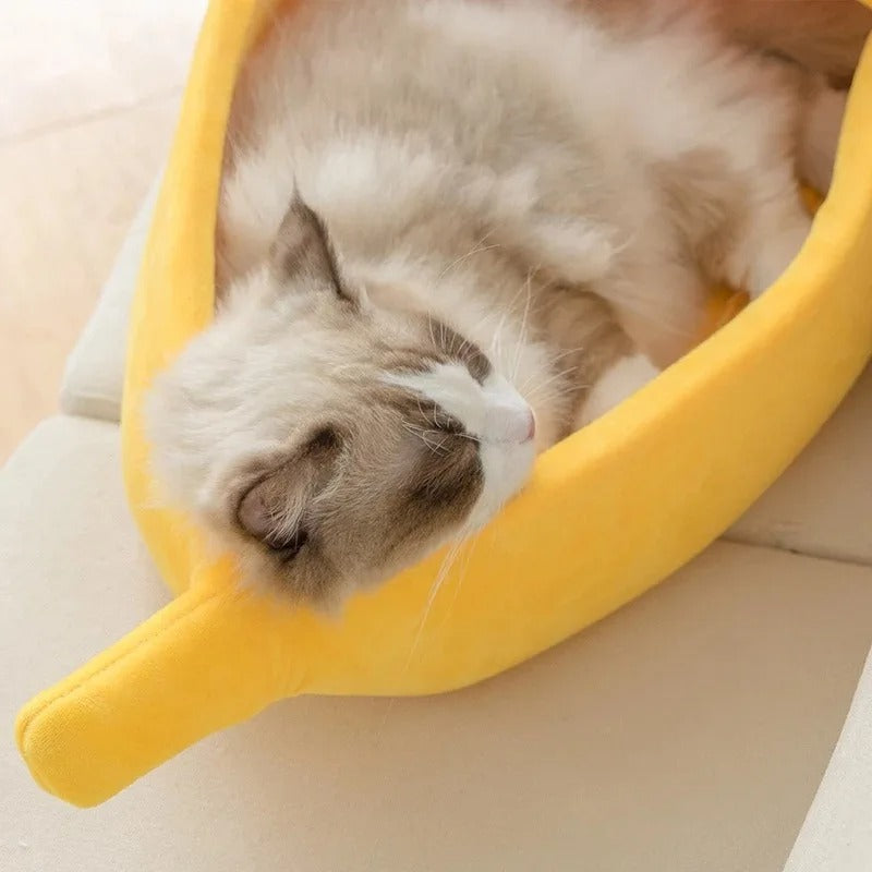 niche-pour-chat-confortable