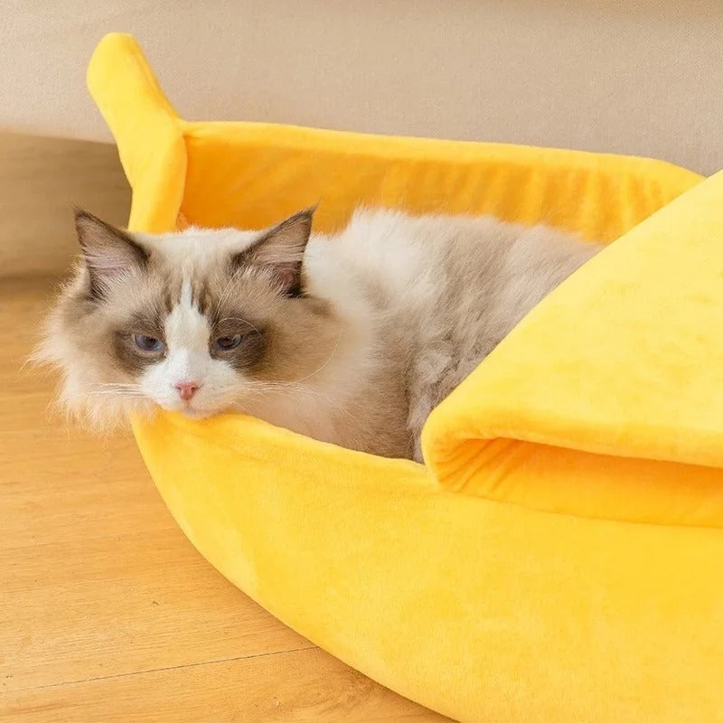 niche-pour-chat-originale-banane