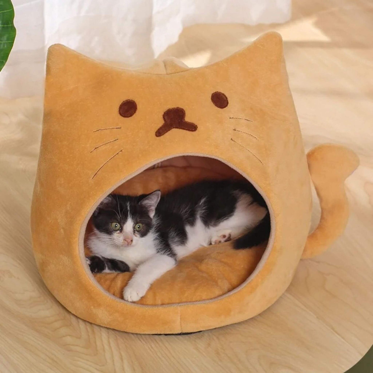 niche-pour-chaton-cosy-cĂąlinou