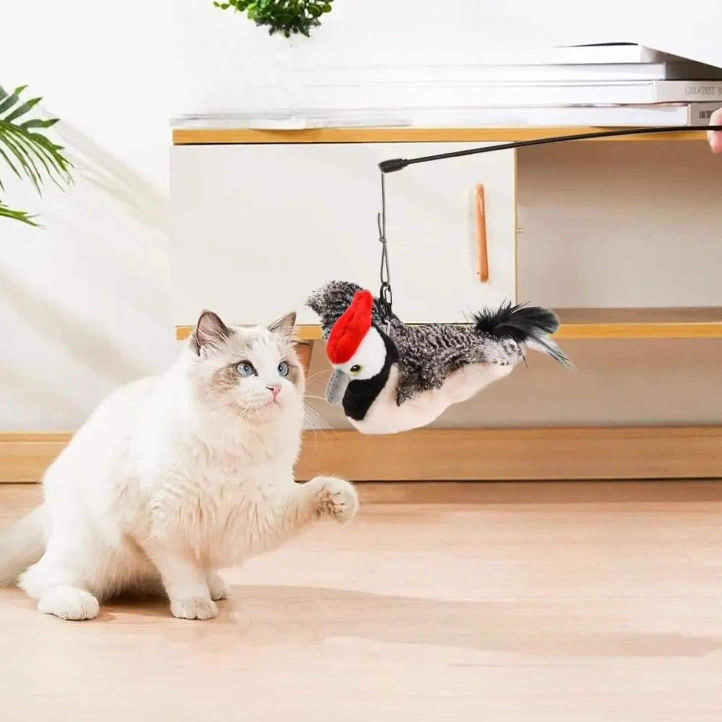 oiseau-interactif-pour-chat-accroche