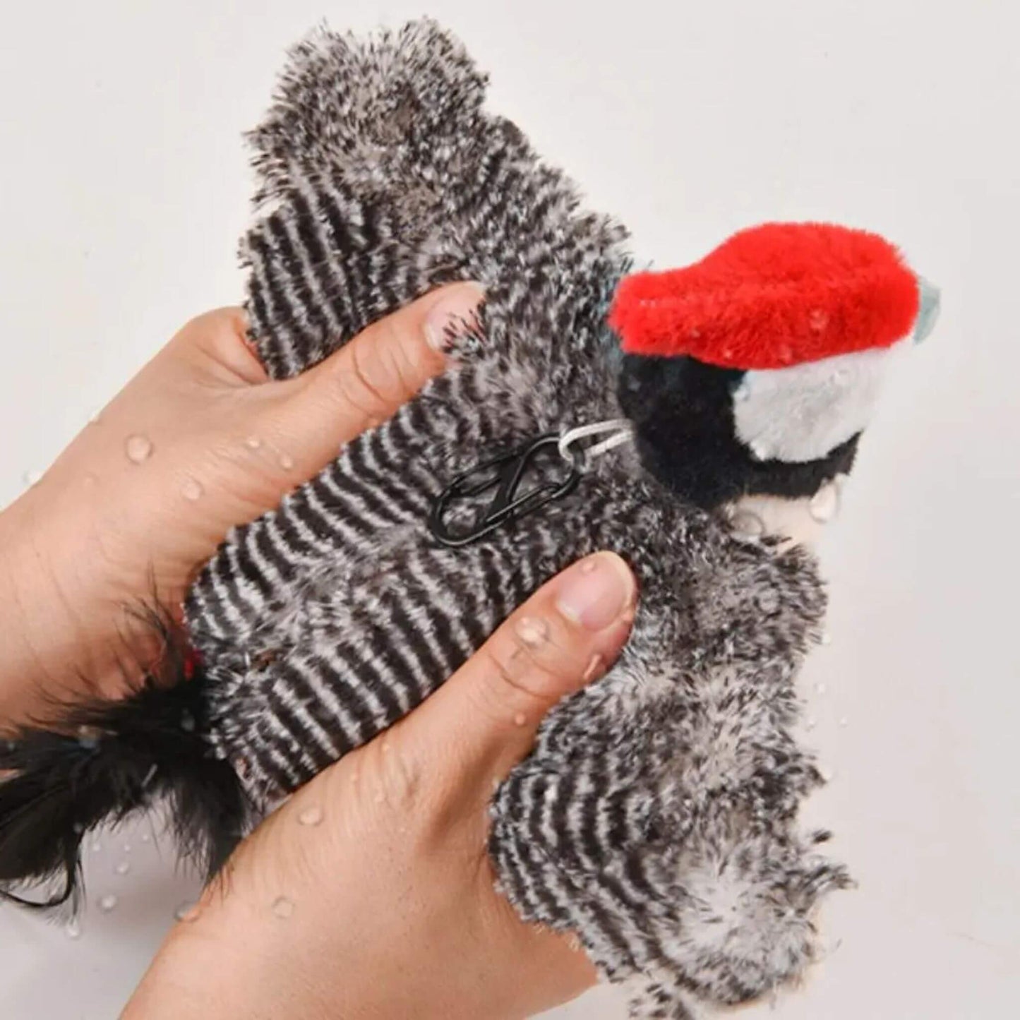 oiseau-interactif-pour-chat-dessus