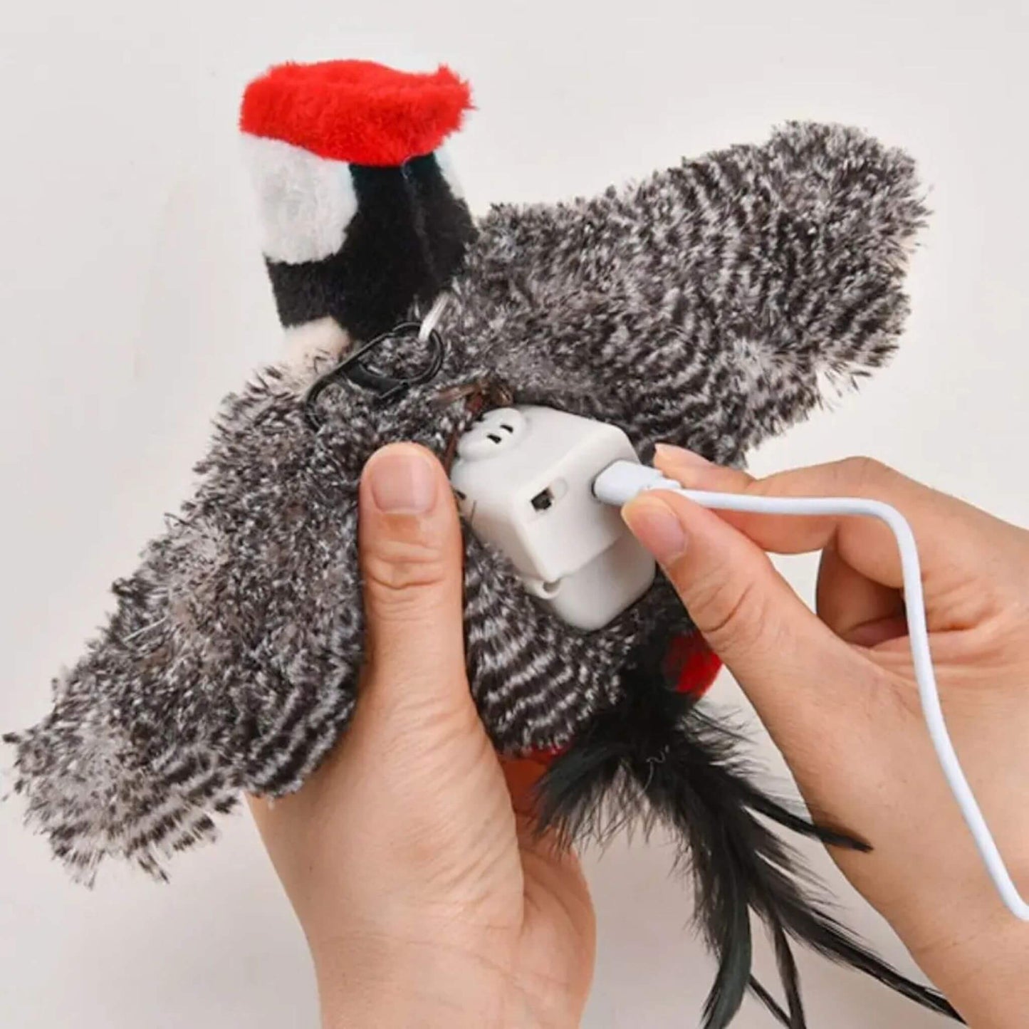 oiseau-interactif-pour-chat-recharger