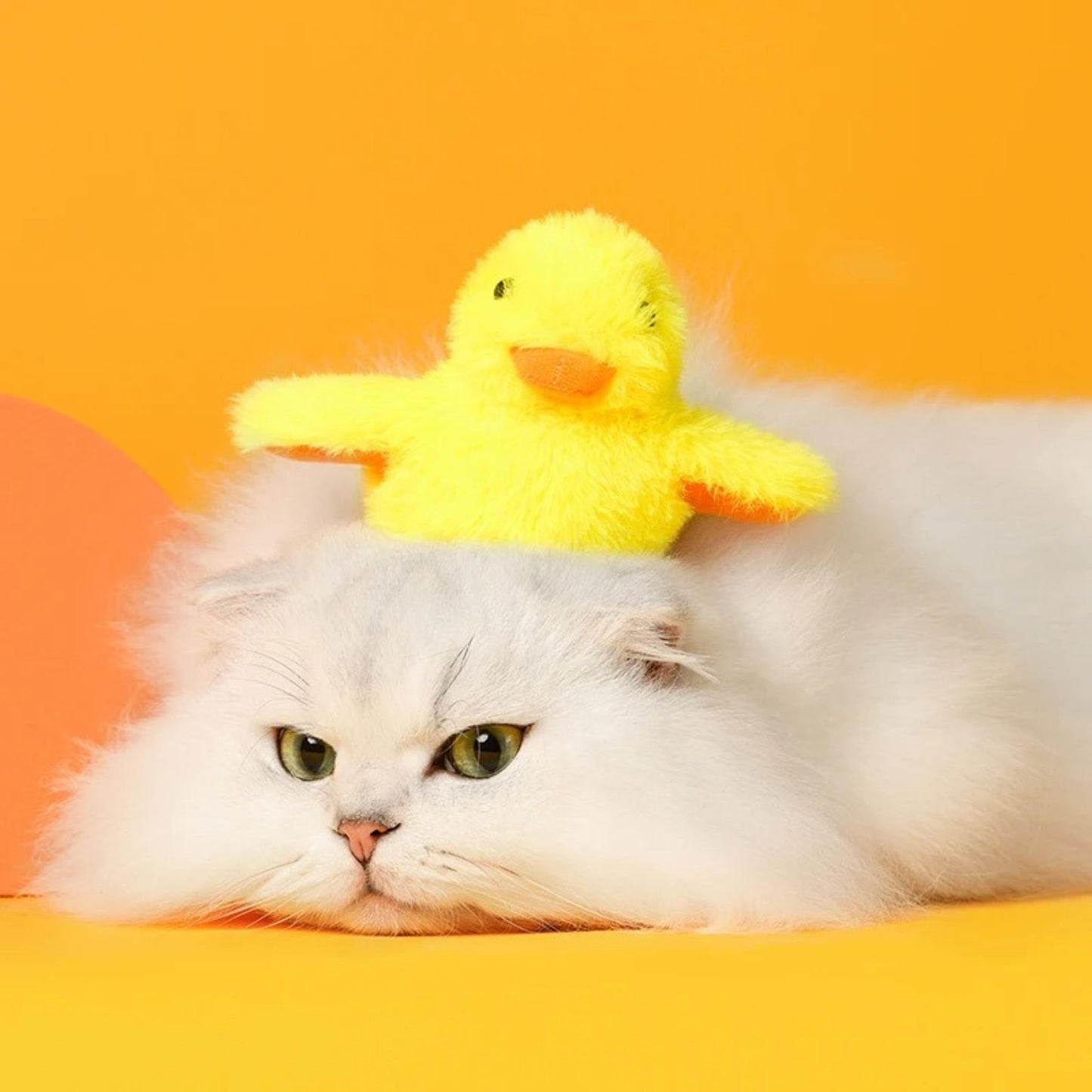 oiseau-pour-chat-compagnon-poussin