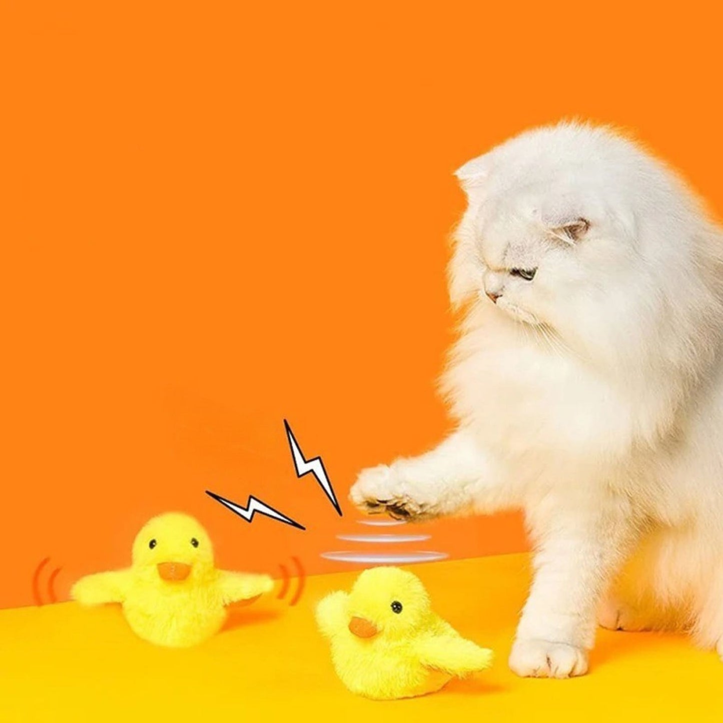 oiseau-pour-chat-éveil