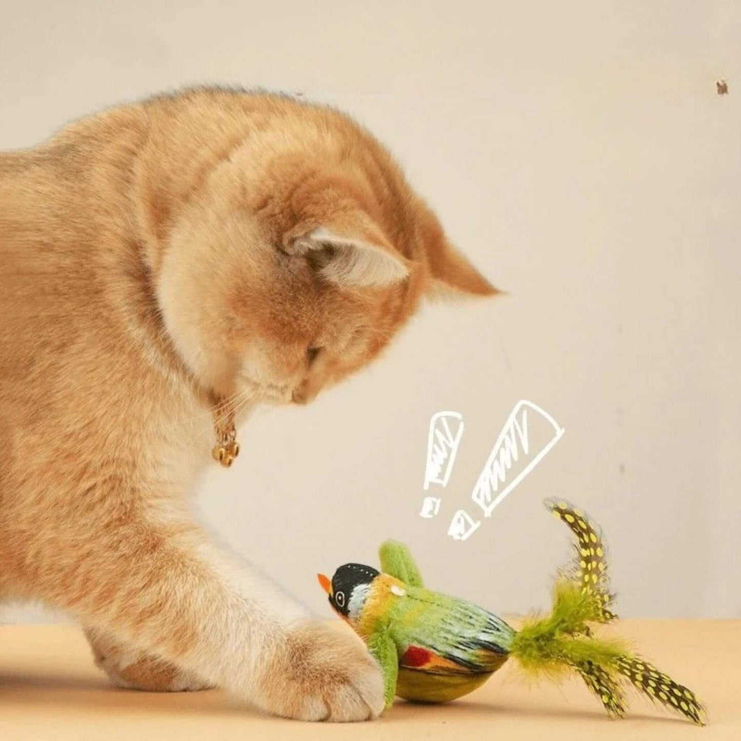 oiseau-pour-chat-intriguant