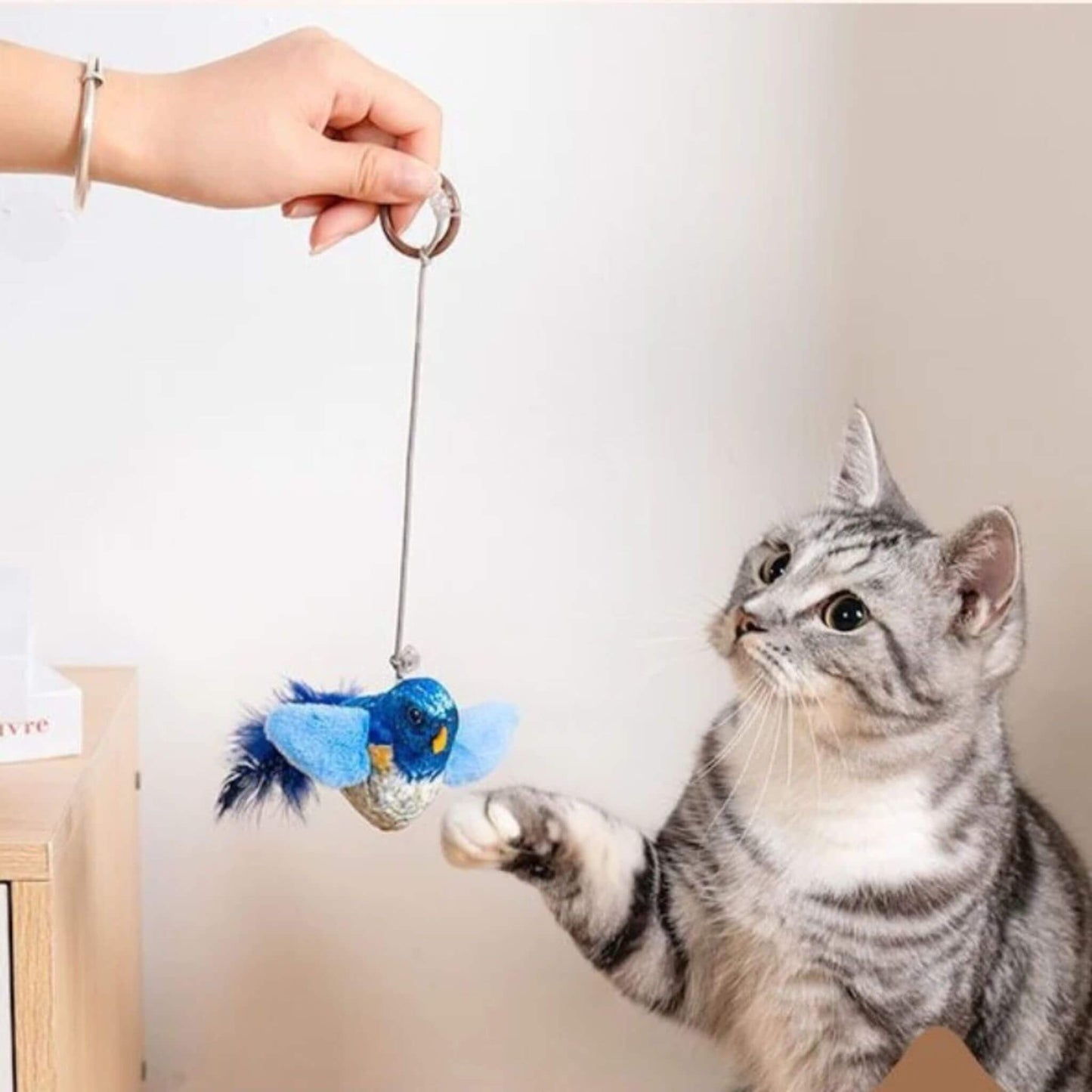 oiseau-pour-chat-lien