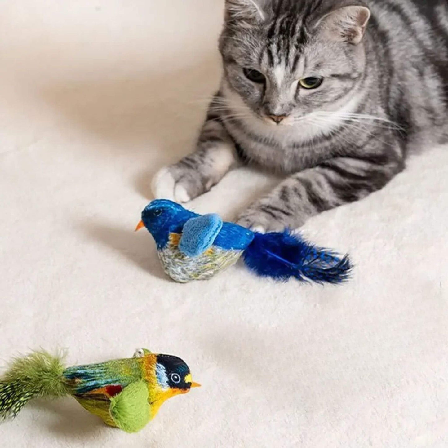 oiseau-pour-chat-modĂšles
