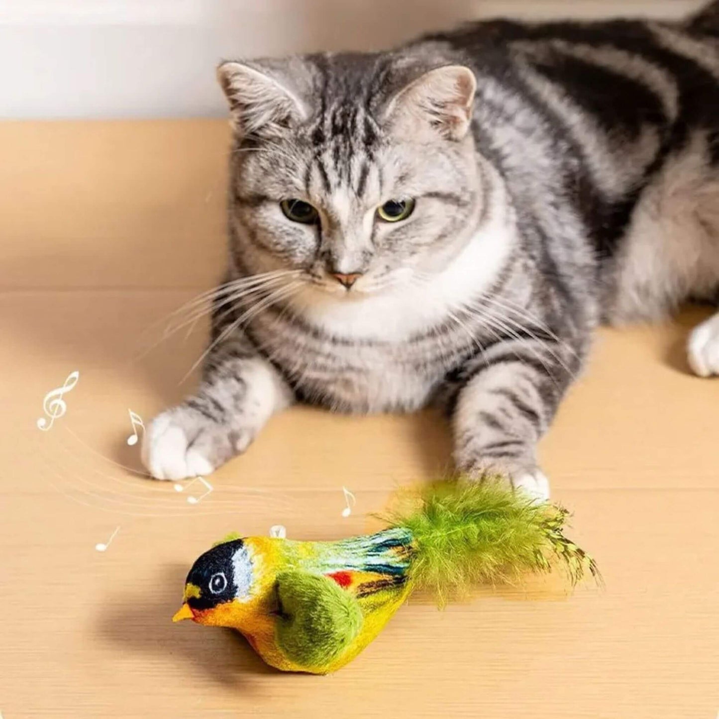 oiseau-pour-chat-taquin