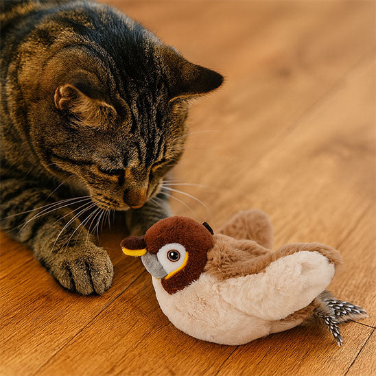 oiseau-volant-pour-chat-attirant