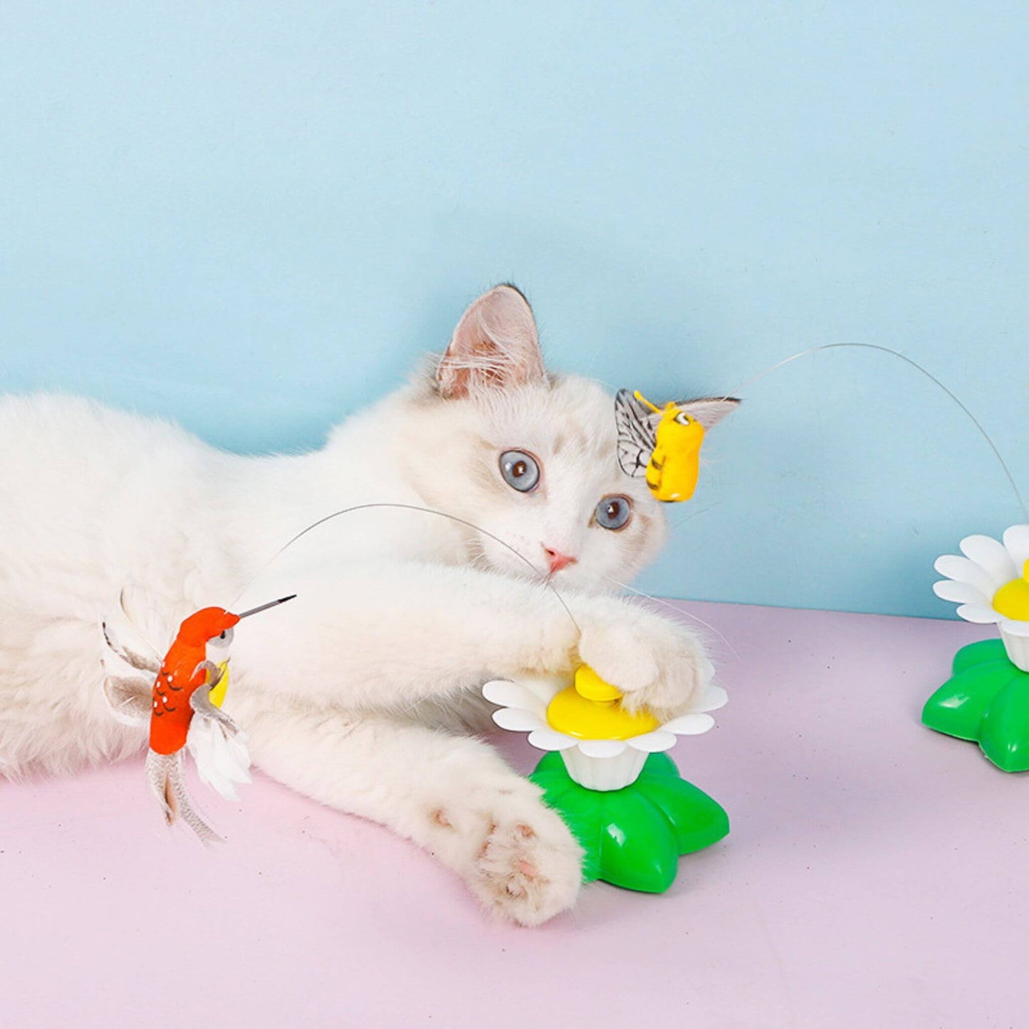 oiseau-volant-pour-chat-attractif