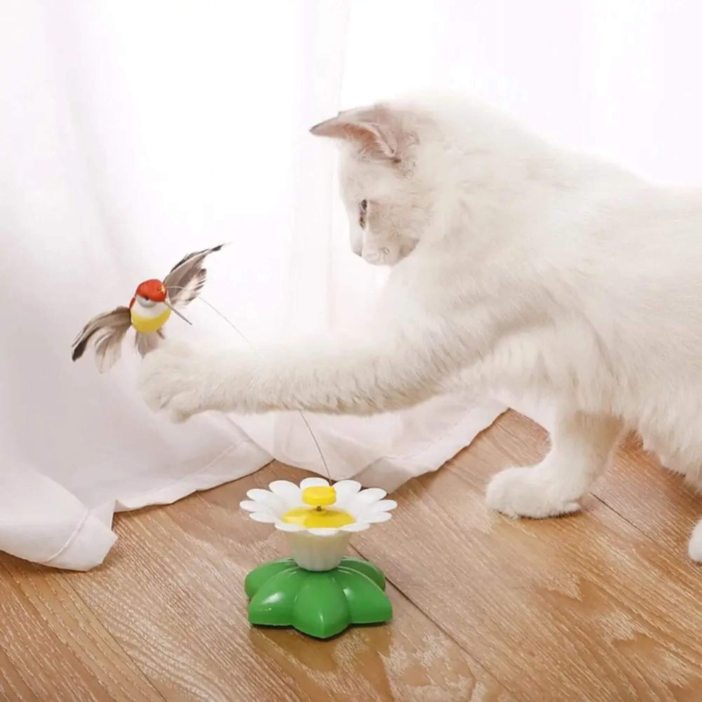 oiseau-volant-pour-chat-attrape