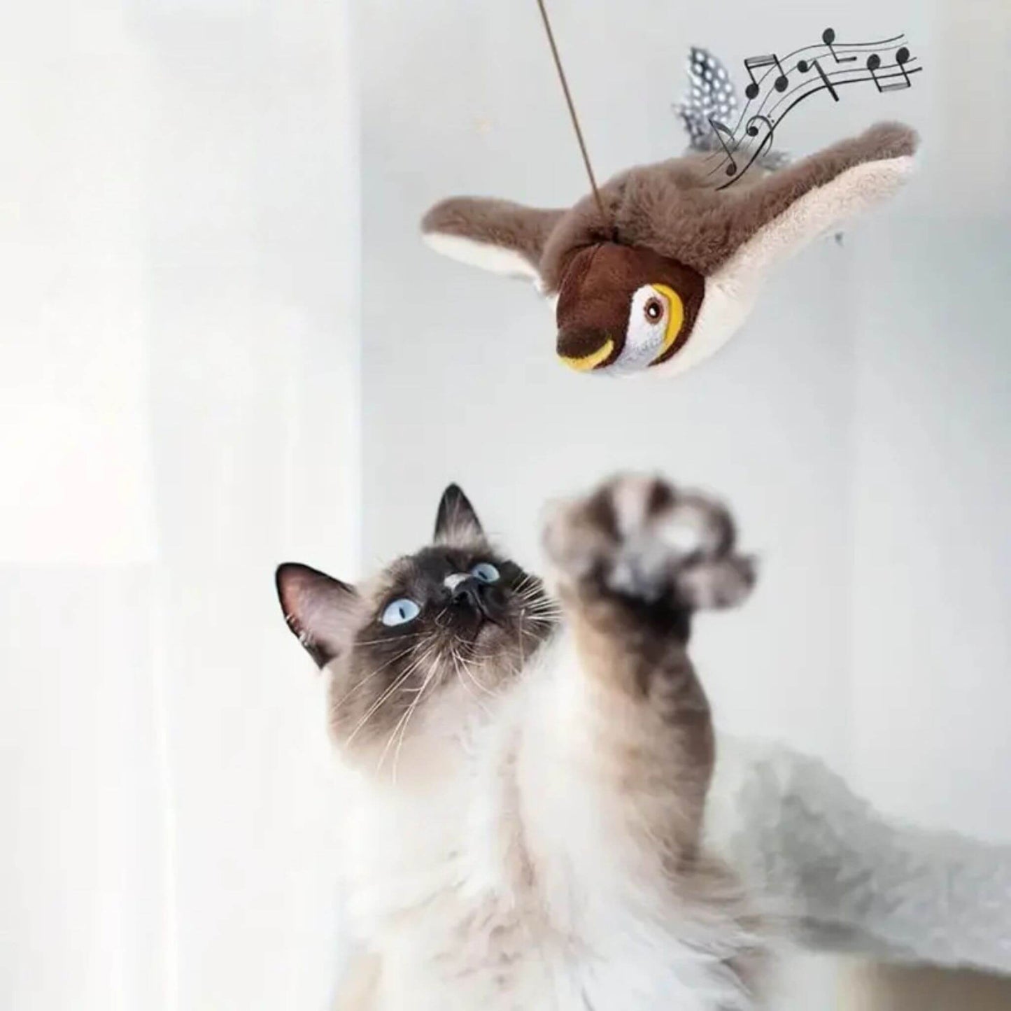oiseau-volant-pour-chat-cri-oiseau