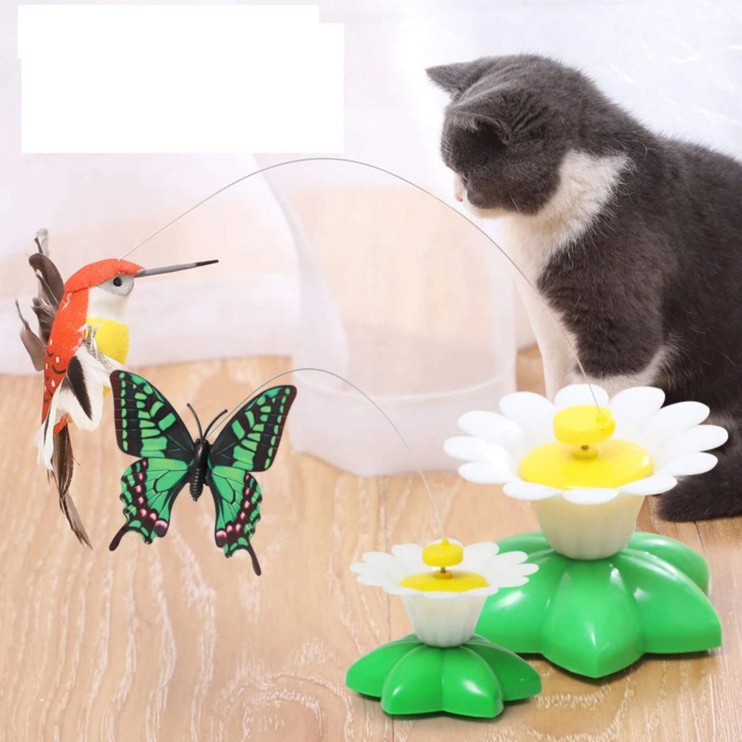 oiseau-volant-pour-chat-design-volant