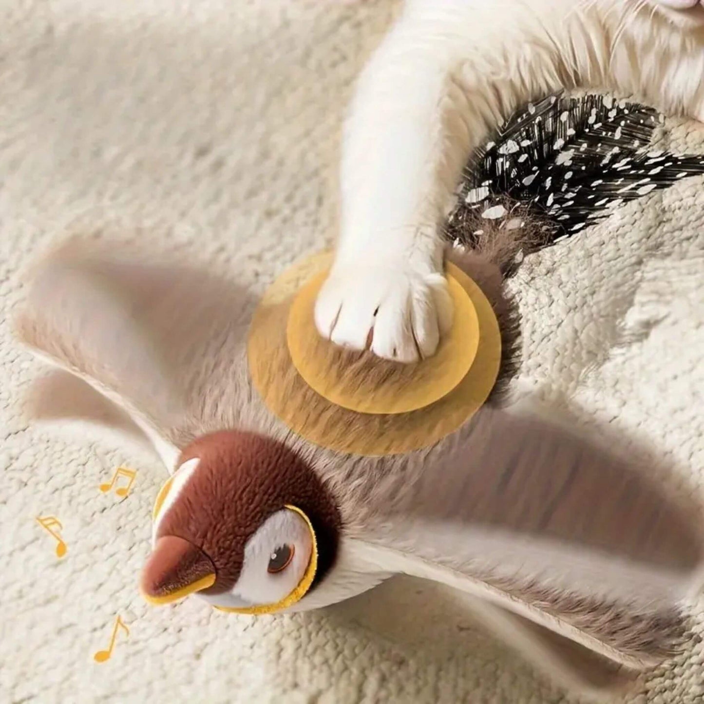 oiseau-volant-pour-chat-incroyable