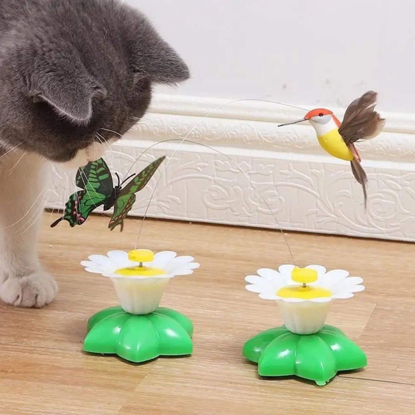 oiseau-volant-pour-chat-intéressant