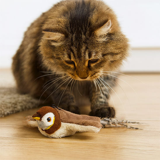 oiseau-volant-pour-chat-intriguant