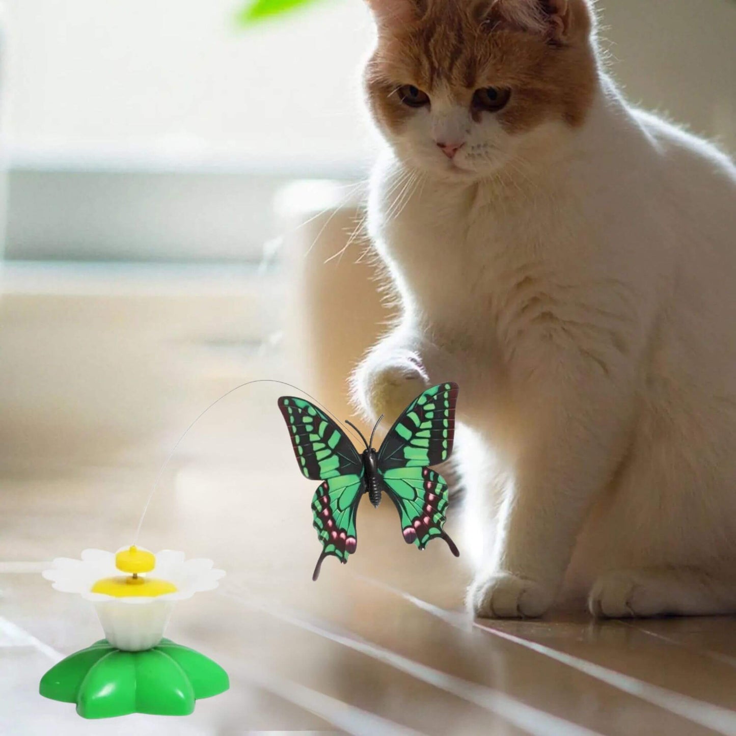 oiseau-volant-pour-chat-papillon