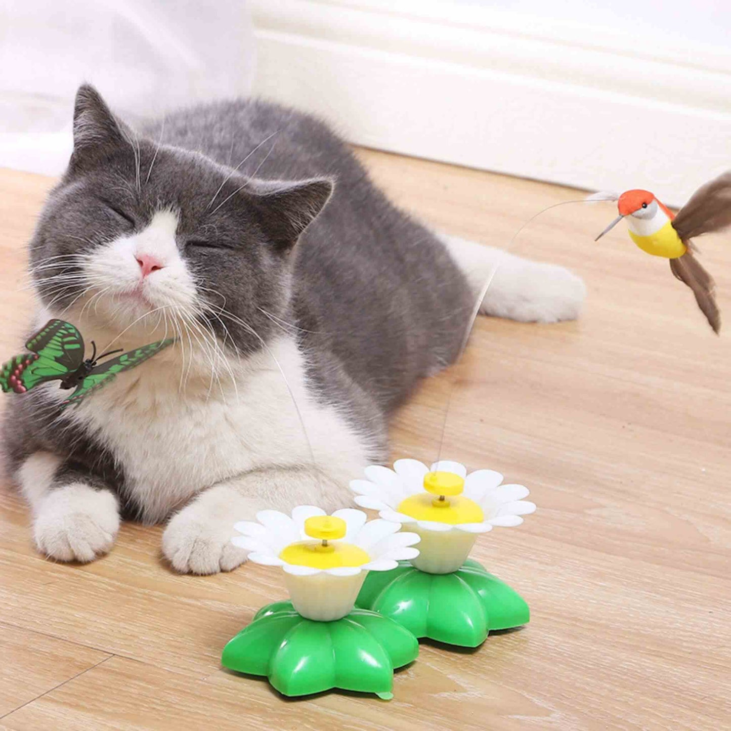 oiseau-volant-pour-chat-rigolos