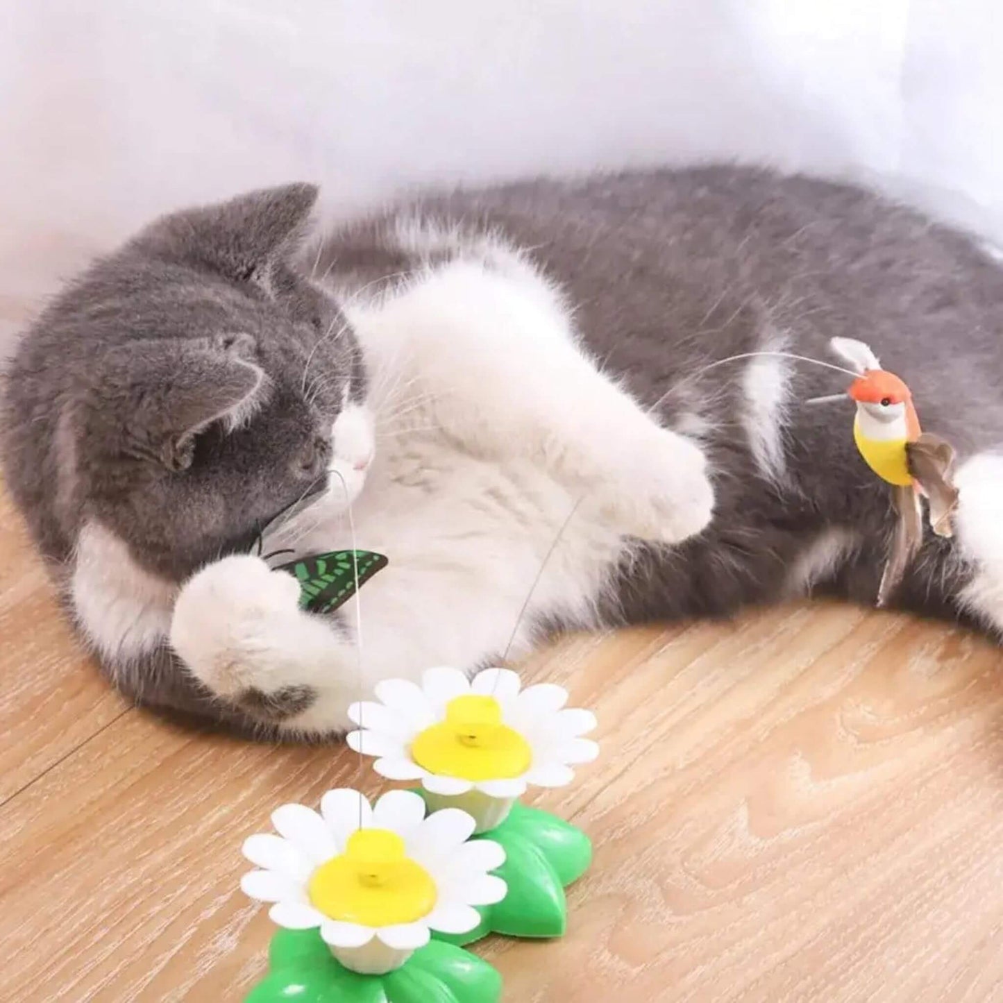 oiseau-volant-pour-chat-stimulation