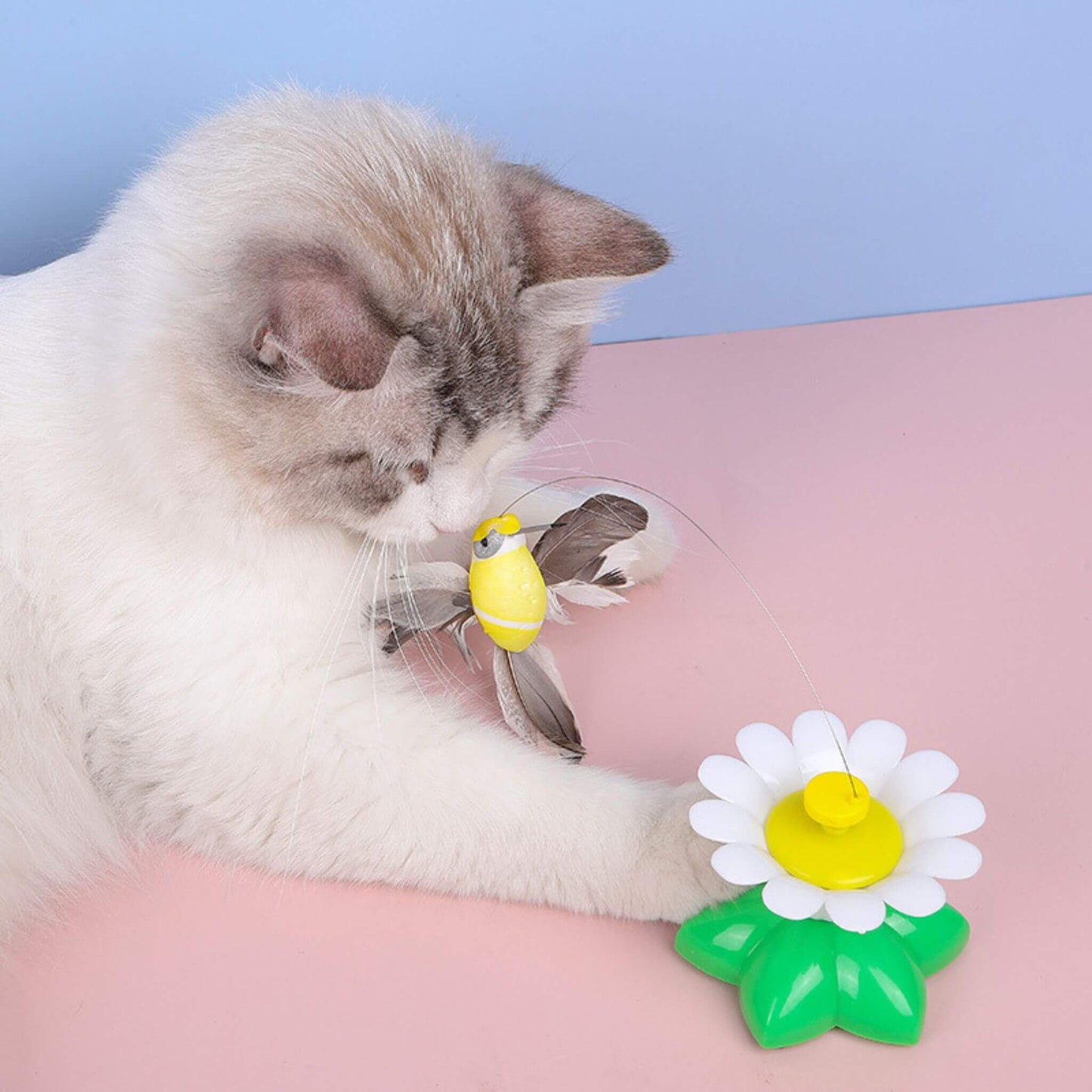 oiseau-volant-pour-chat-tournant