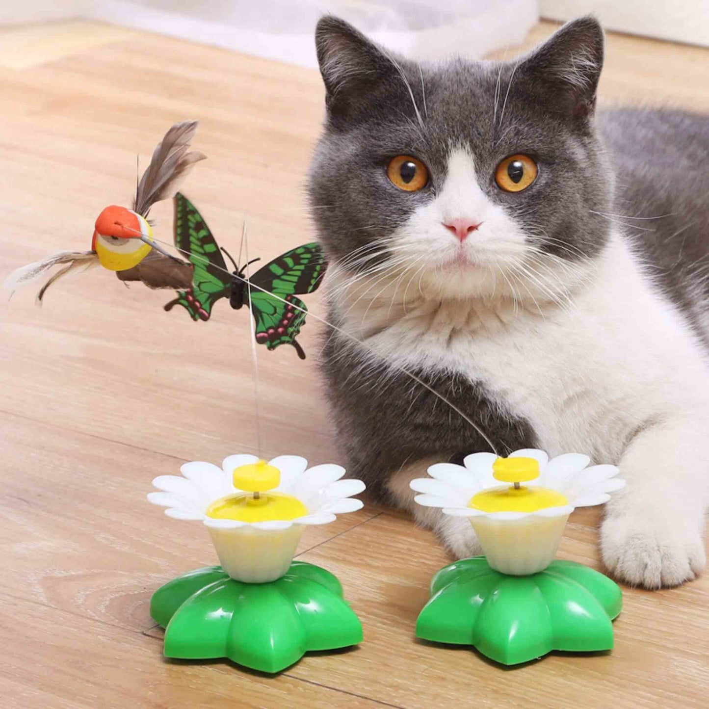 oiseau-volant-pour-chat-unique