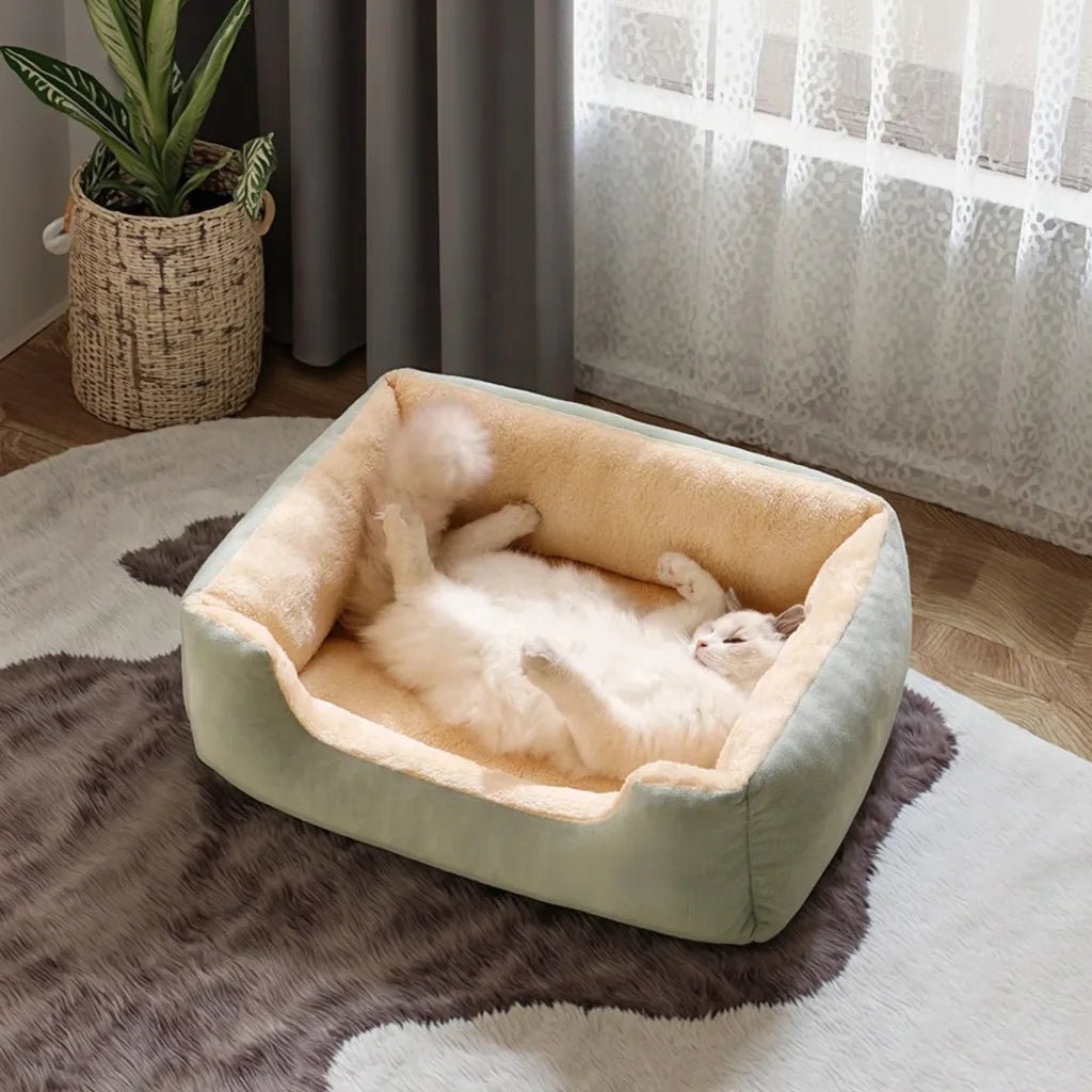 panier-chat-spacieux