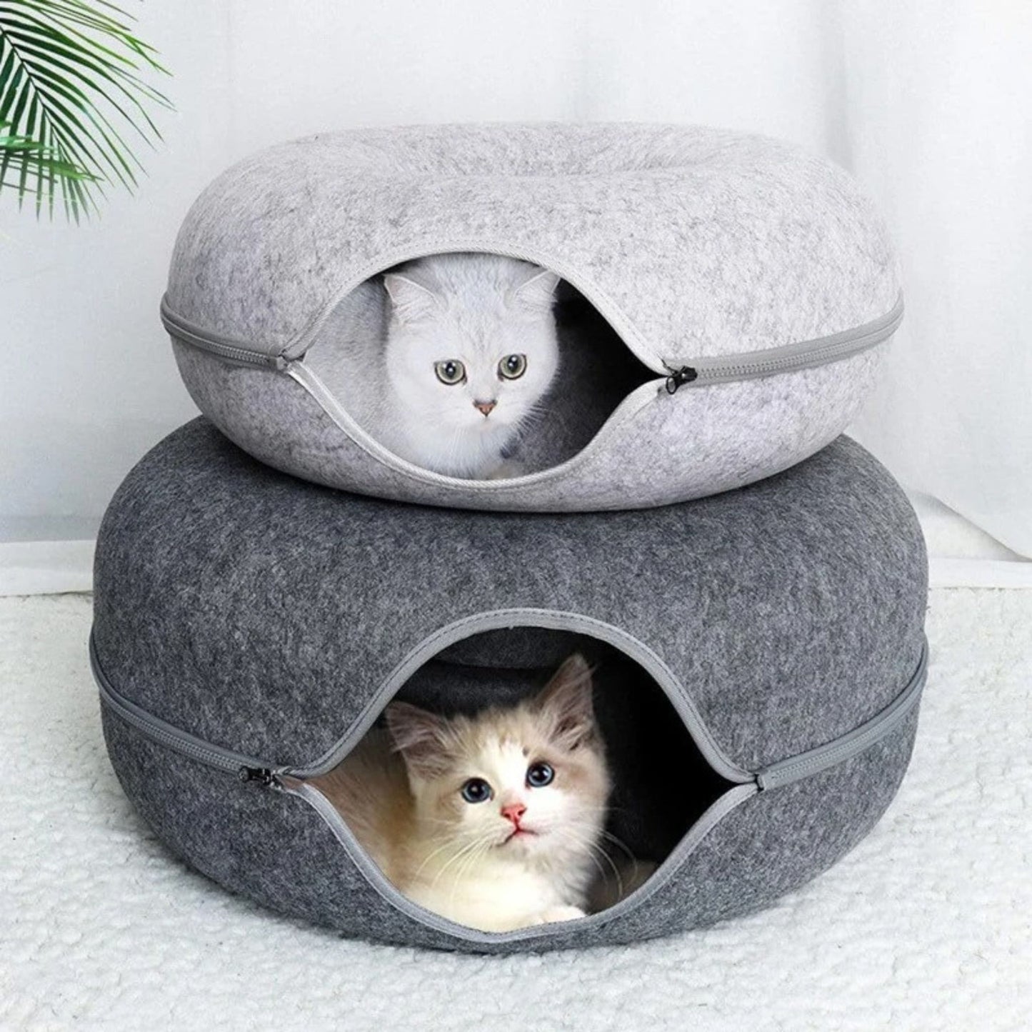panier-chat-dodobeignet