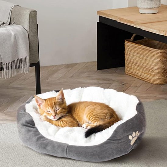 panier-chat-lavable