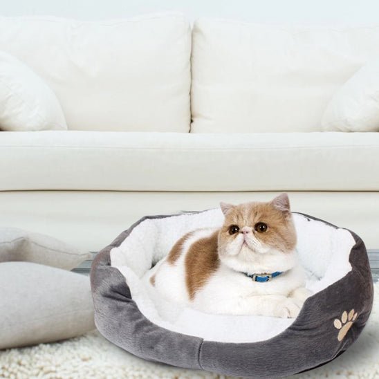 panier-chat-doux-patte