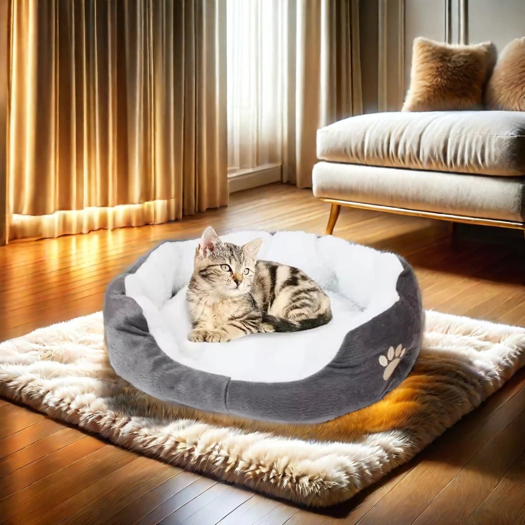 panier-chat-pratique