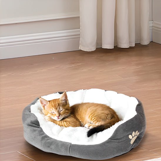 panier-chat-gris-patte