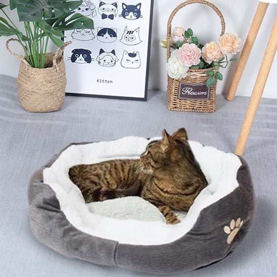 panier-chat-patte