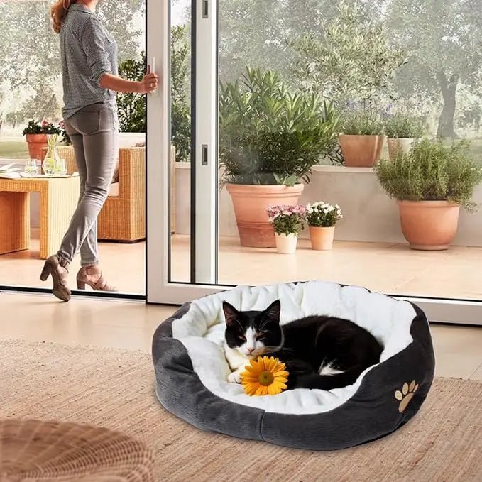 panier-chat-design