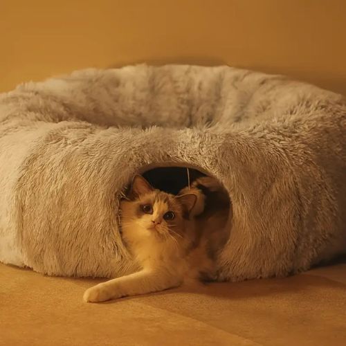 tunnel-pour-chat-panier