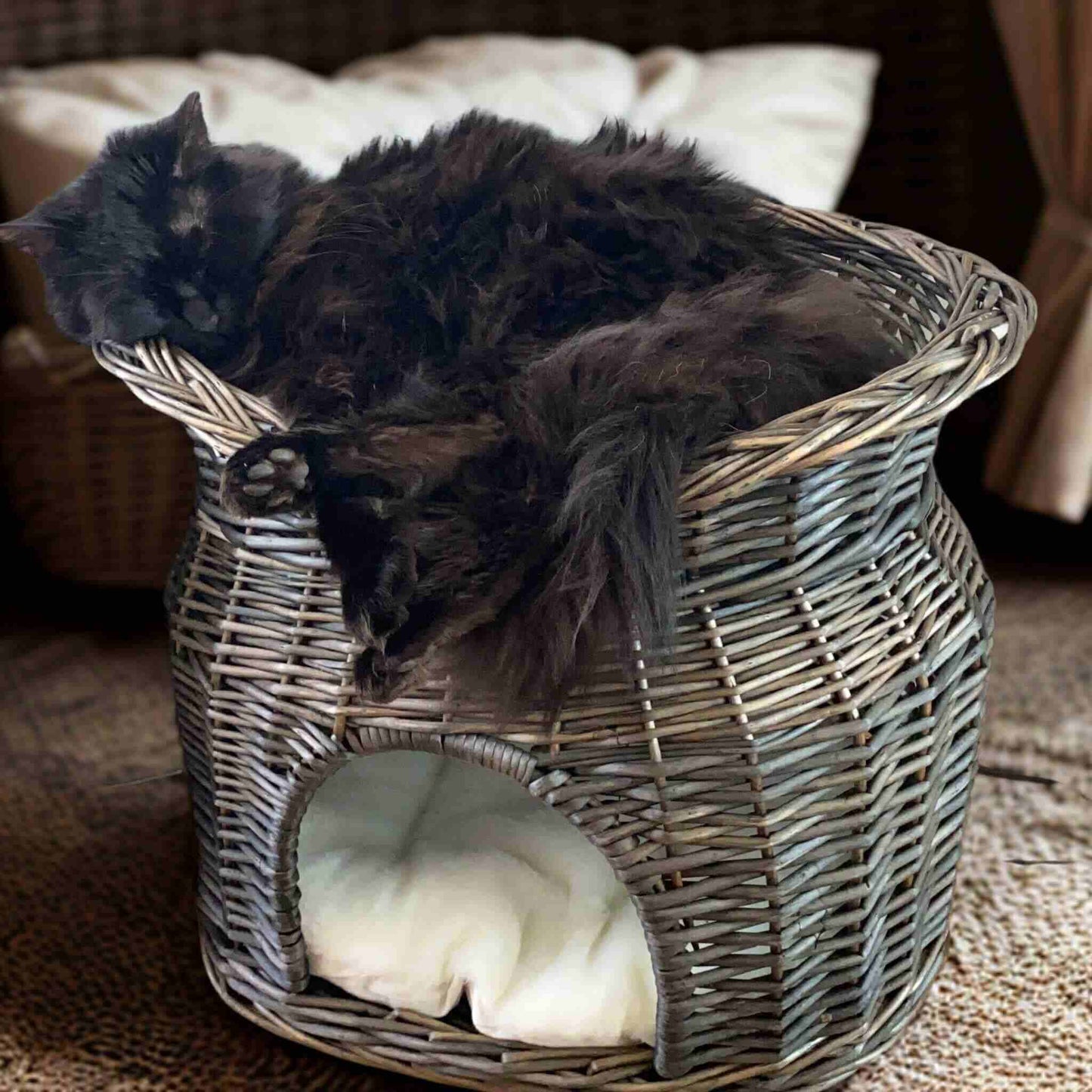 panier-osier-chat-agréable