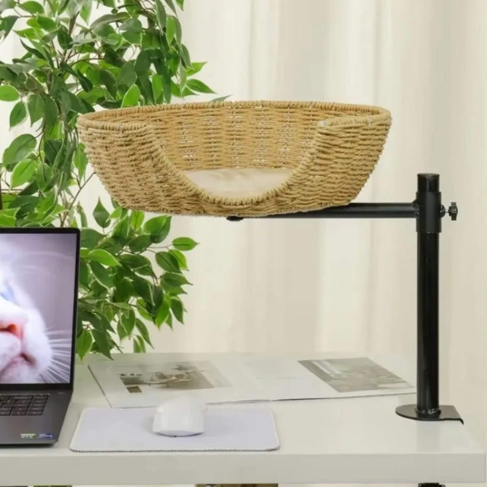 panier-osier-pour-chat-élégant